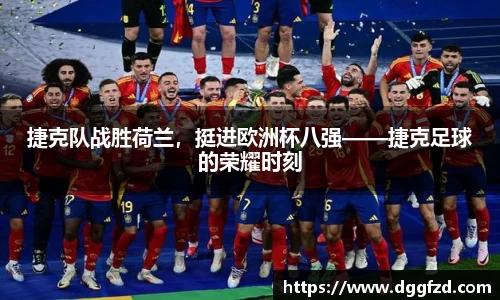 智博19有限公司