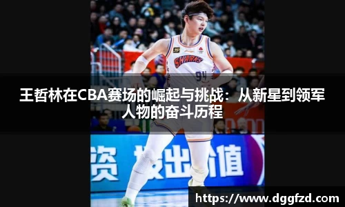 王哲林在CBA赛场的崛起与挑战：从新星到领军人物的奋斗历程