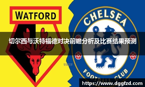 智博19有限公司