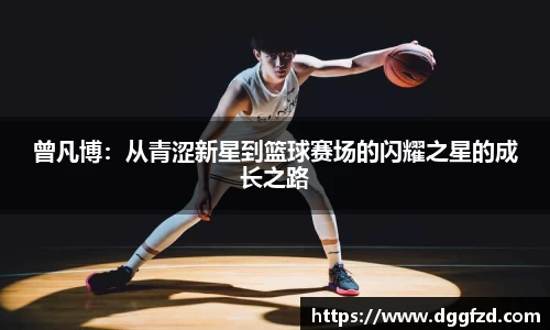 智博19有限公司