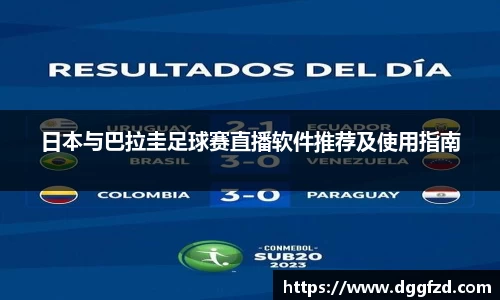 智博19有限公司