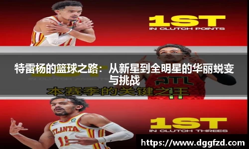 特雷杨的篮球之路：从新星到全明星的华丽蜕变与挑战