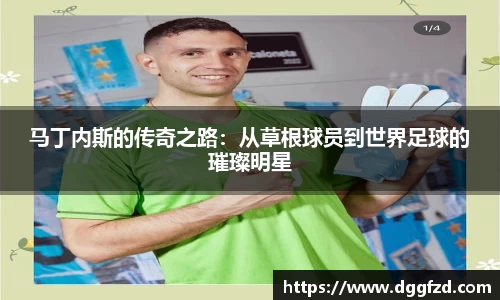 智博19有限公司