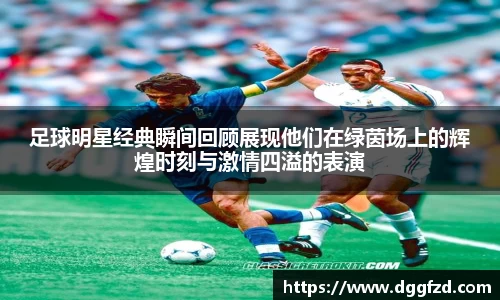 智博19有限公司